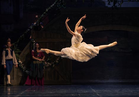 Hrvatsko narodno kazalište Split: Aleksandar Krein, Laurencia, kor. Vakthang Čabukiani, uprizorenje Nina Ananiašvili, foto: Nemi Bulat